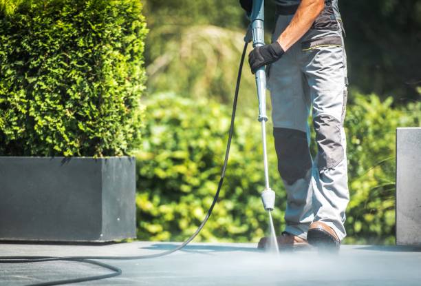 Animal Enclosure Cleaning in St Matthews, KY