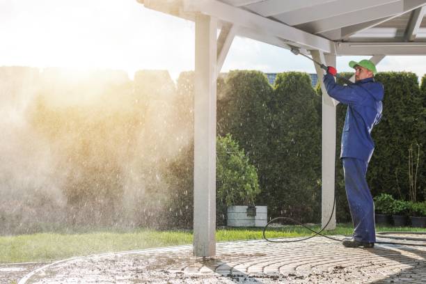 Best Animal Enclosure Cleaning  in St Matthews, KY